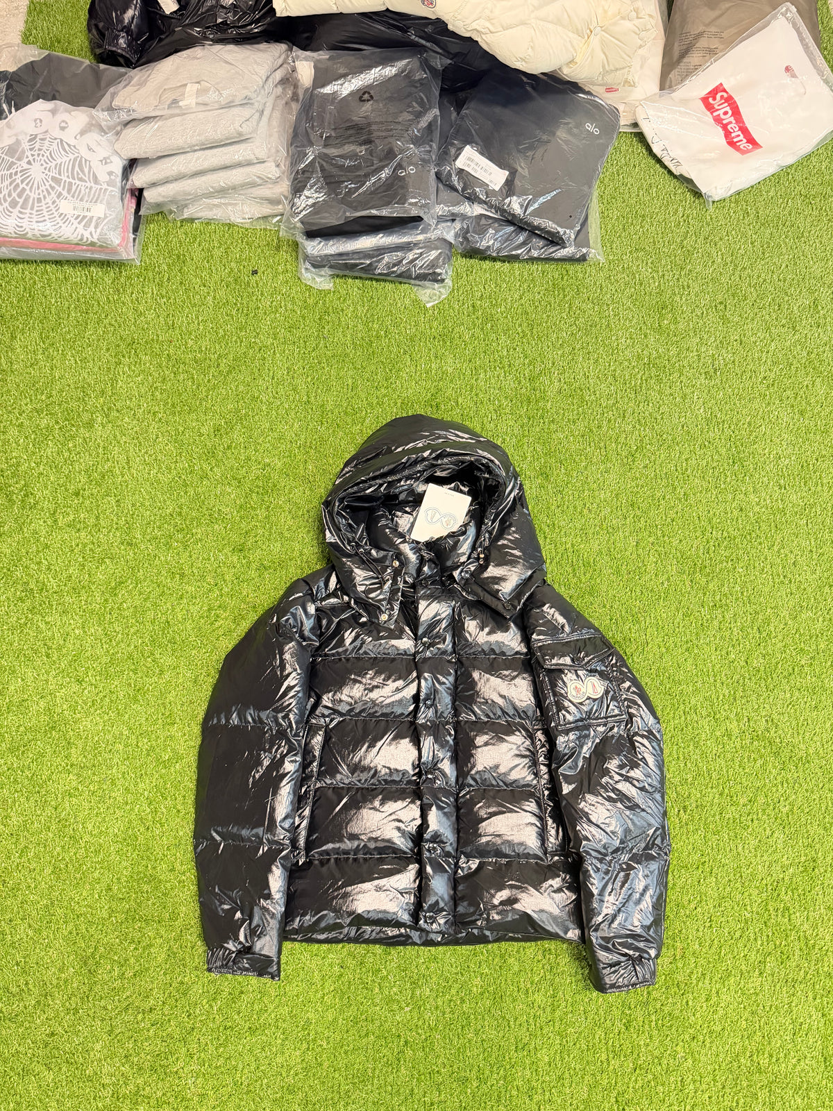Black shining puffer